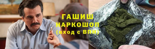 дмт Каменка