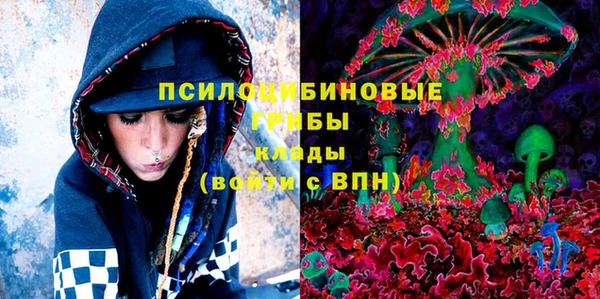 не бодяженный Арсеньев