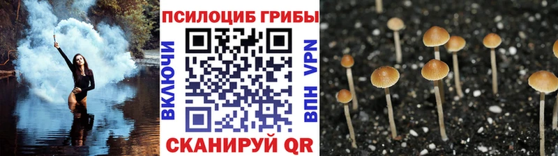 Галлюциногенные грибы Cubensis  Покров 